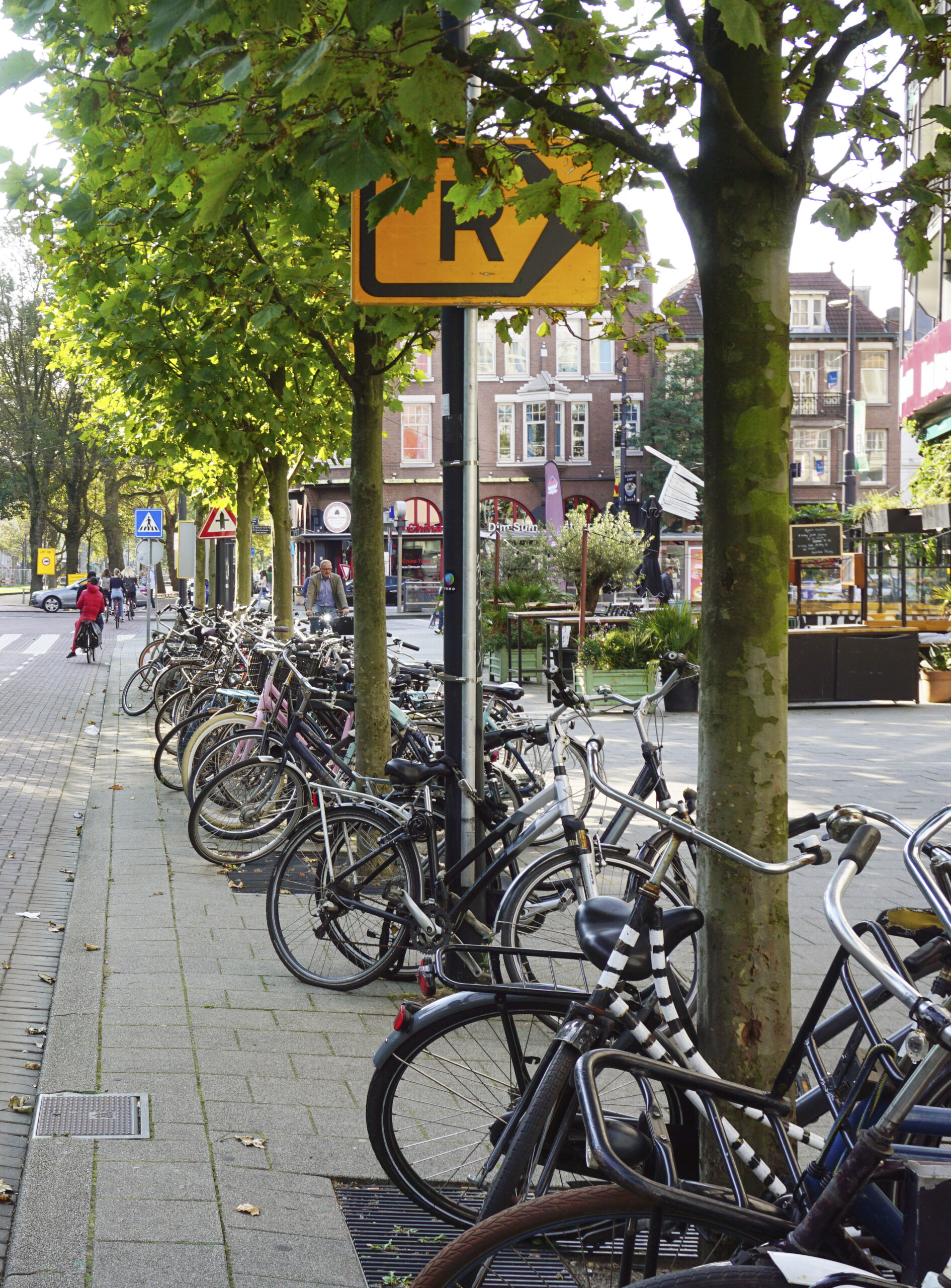 Effecten van het vaker pakken van de fiets